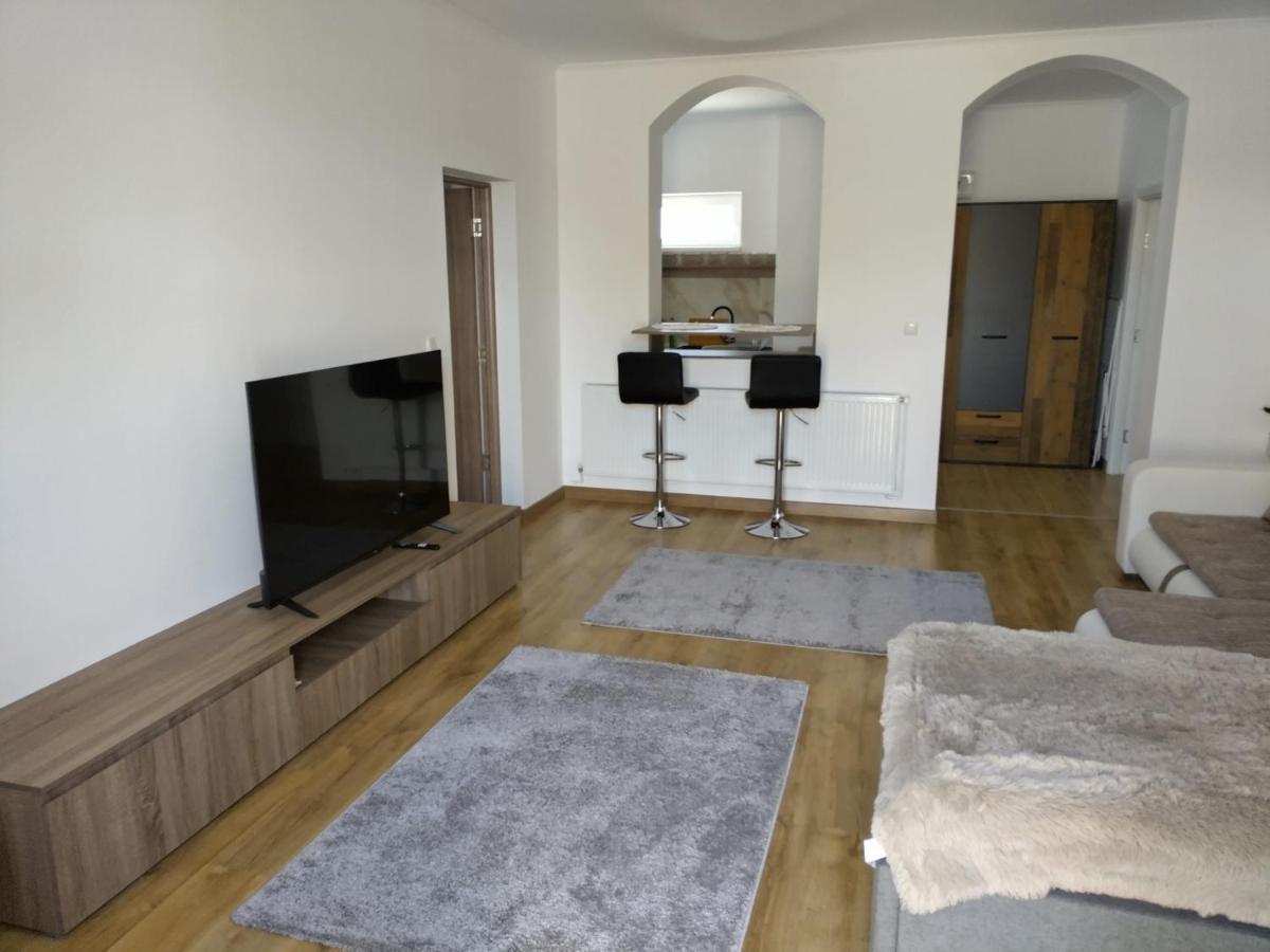 Tsg Apartament 2 Valea lui Mihai Eksteriør billede